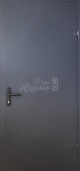 Противопожарная дверь Нитроэмаль + Нитроэмаль №23